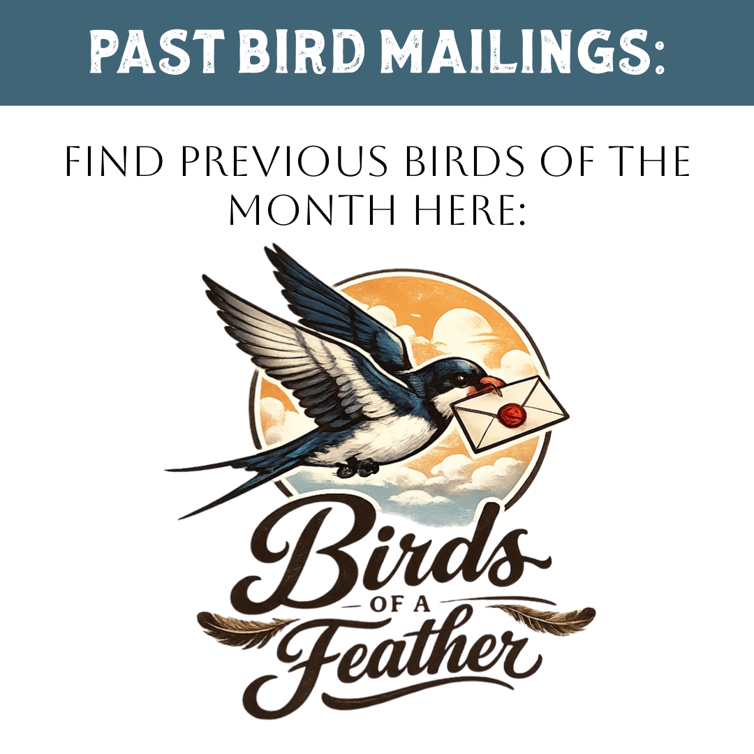 Past Birds of the Month