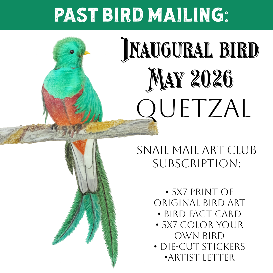 May 2026-Quetzal Mail Package