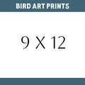 QUETZAL Bird Prints