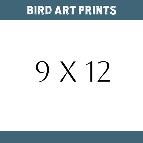 QUETZAL Bird Prints