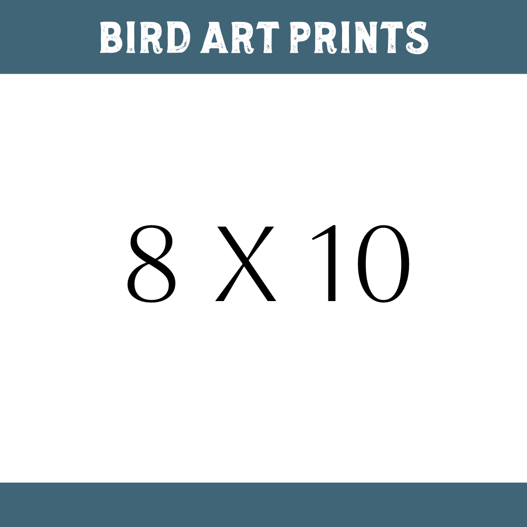QUETZAL Bird Prints