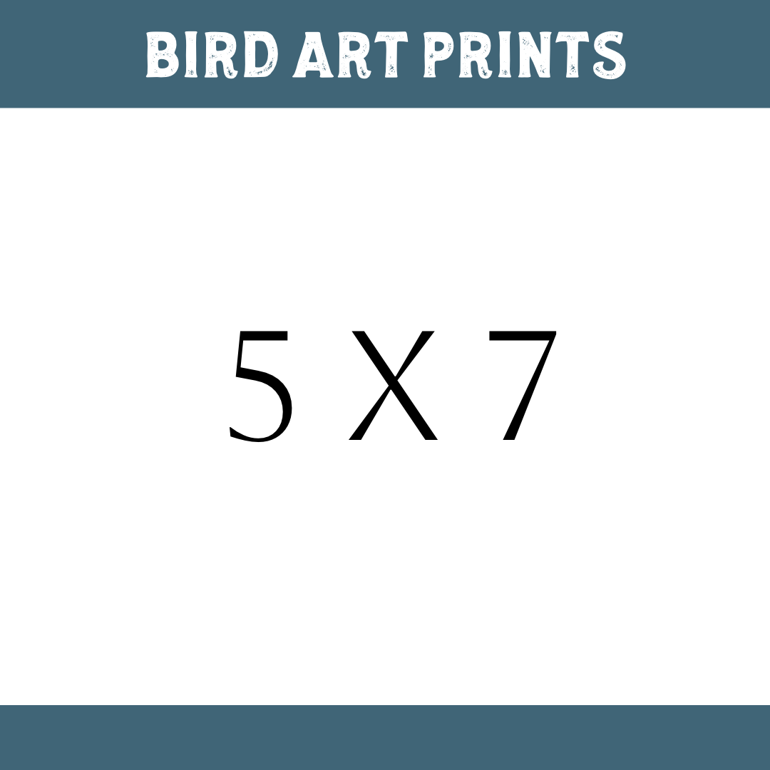 QUETZAL Bird Prints