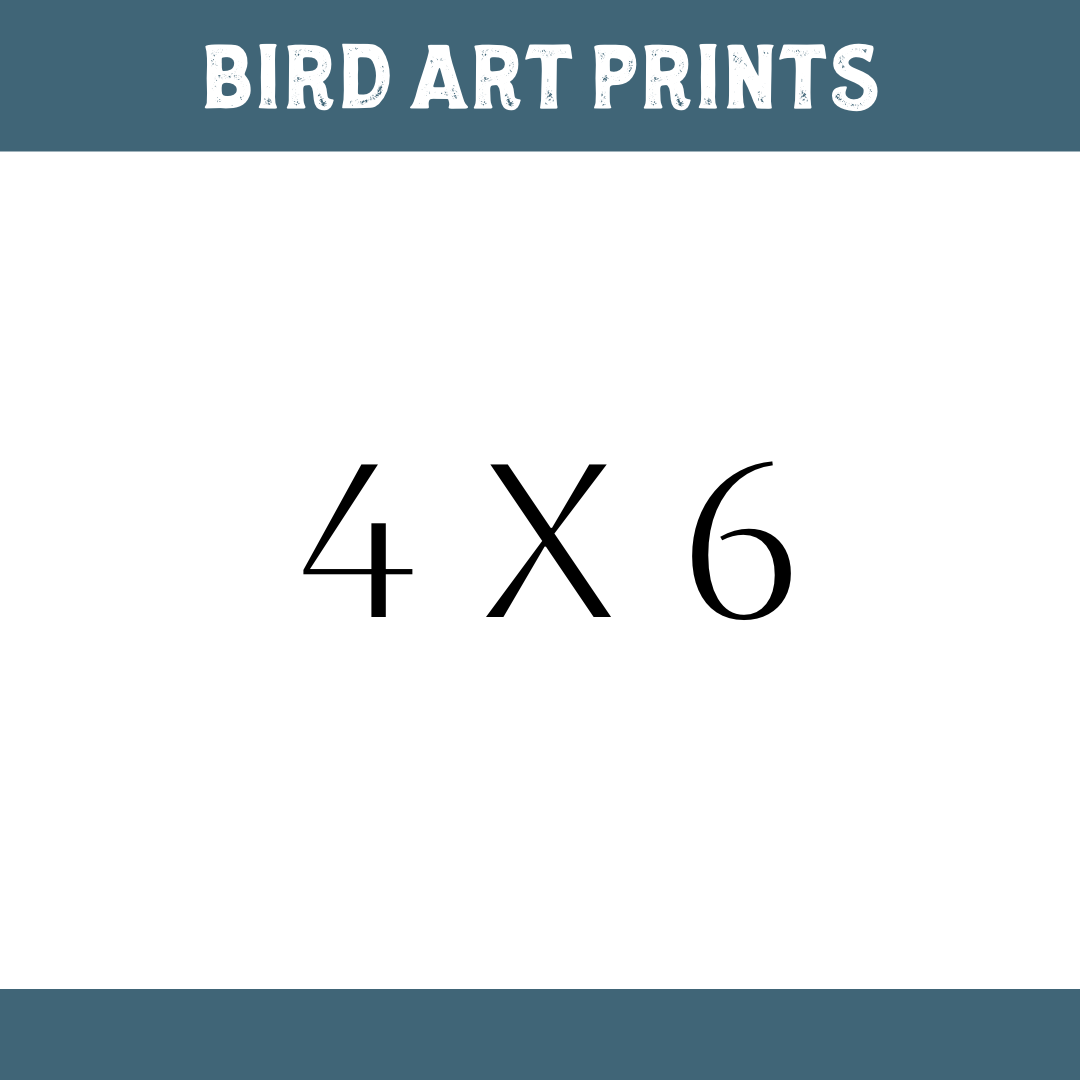 QUETZAL Bird Prints