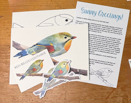 AUGUST 2026-Red-Billed Leiothrix Mail Package