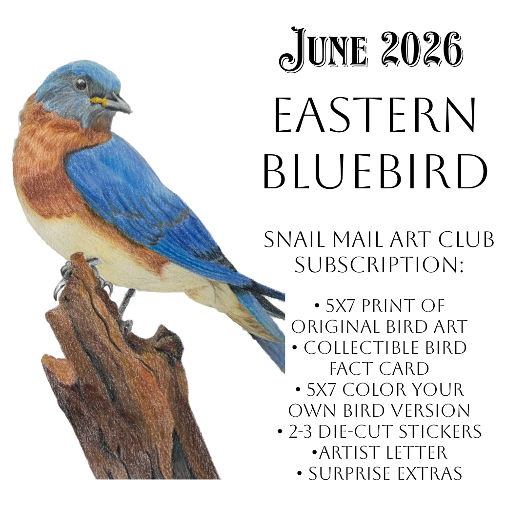 June 2026-Eastern Bluebird Mail Package