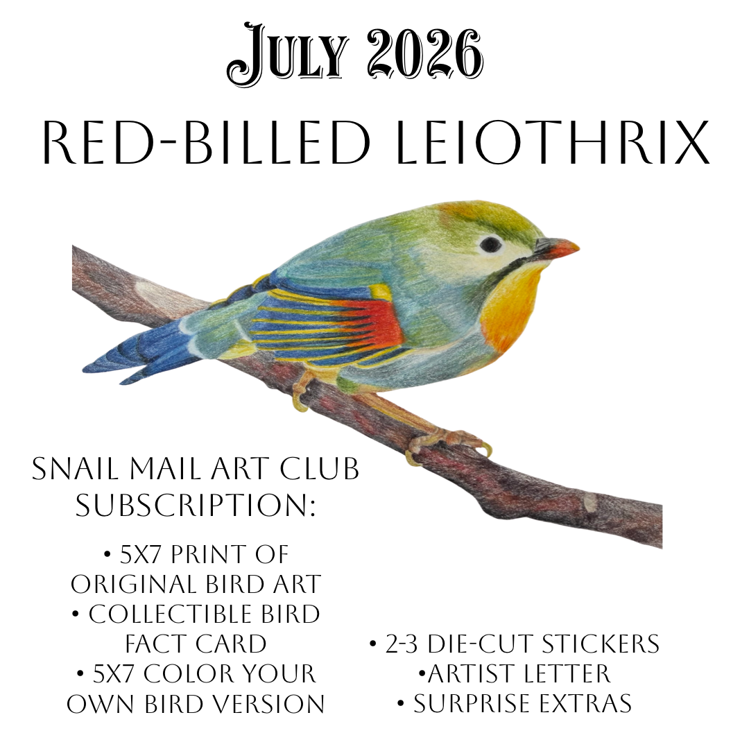 AUGUST 2026-Red-Billed Leiothrix Mail Package