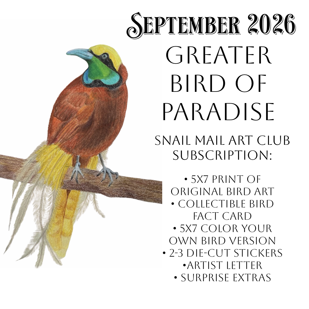 SEPTEMBER 2026-Greater Bird of Paradise Mail Package